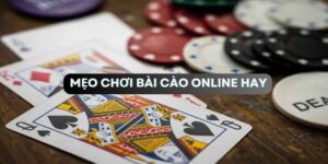 Mẹo hay mà bet thủ nên áp dụng khi chơi bài cào
