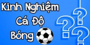 Kinh nghiệm chơi cá độ bóng đá