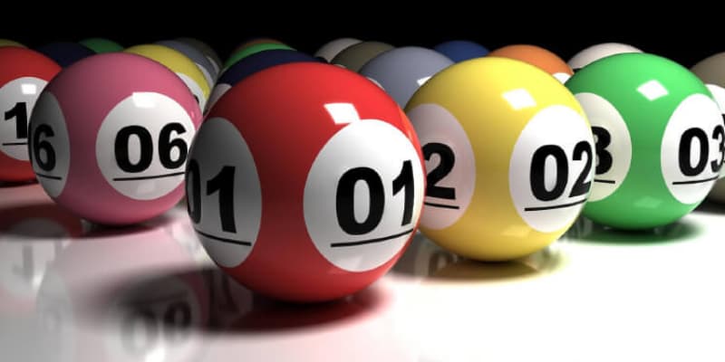 Các sai lầm thường gặp khi nuôi dàn chơi xổ số