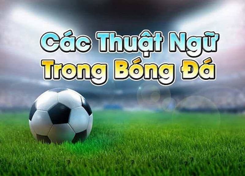 Giới thiệu tổng quan về các thuật ngữ cá độ bóng đá