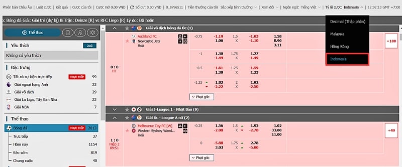 Đặc điểm của tỷ lệ cược Indo